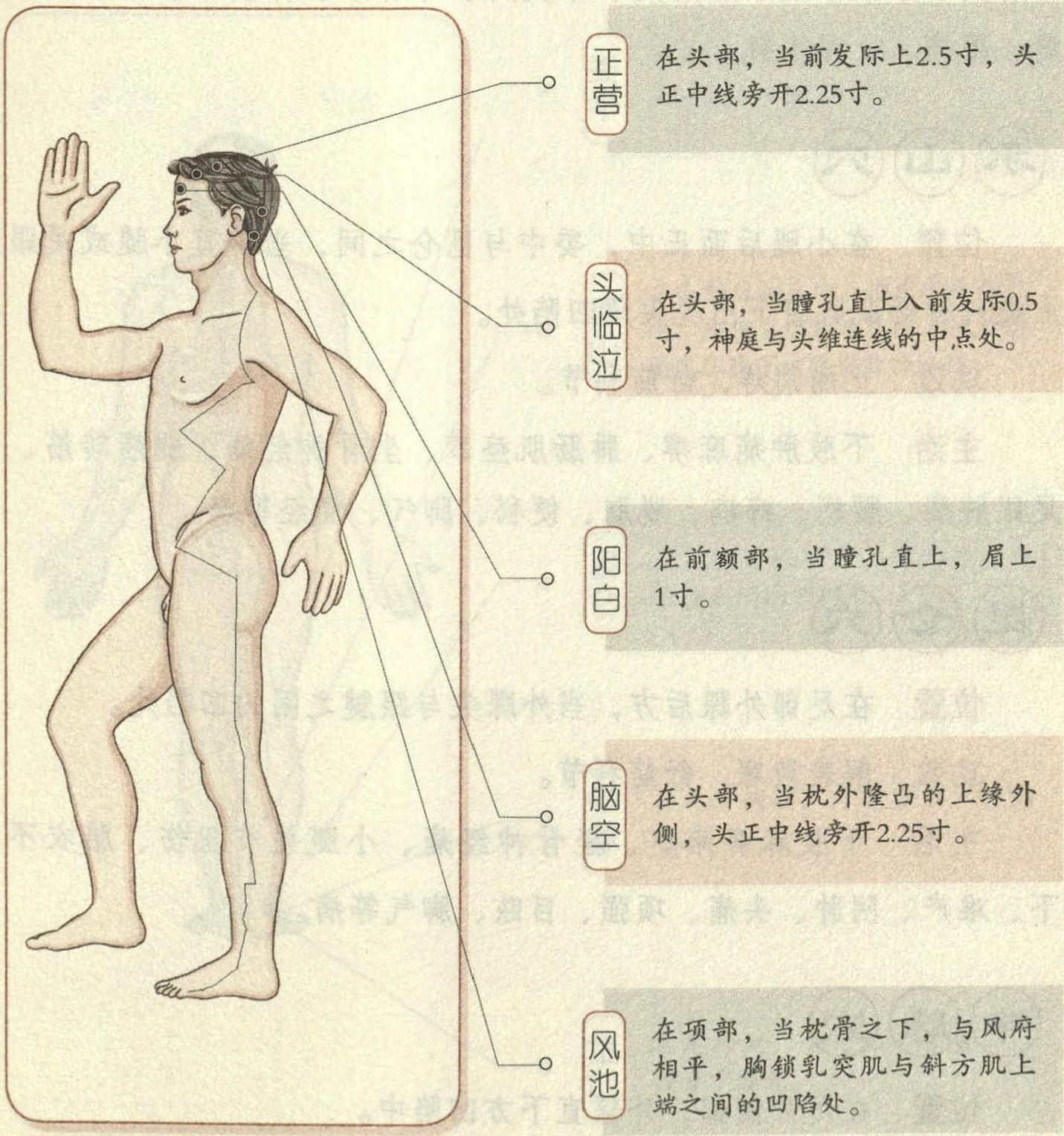 足少陽膽經21大要穴